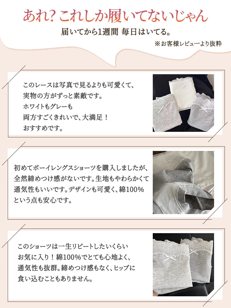 【5件套裝 4,980日圓】 VEIMIA 蕾絲內褲 | 芭蕾風格 抗菌加工 獻給想兼顧時尚與舒適的您