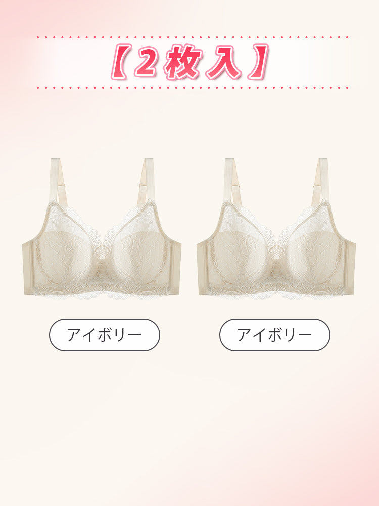 【兩件一組7,980日圓】VEIMIA 塑身內衣 | 雙重支撐托高胸型 修飾胸部線條 適合在意胸部下垂的您