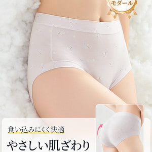 【5件套裝 4,980日元】VEIMIA 無痕內褲 | 觸感柔和 不易卡臀 舒適好穿 適合日常穿著及不喜歡束縛感的人