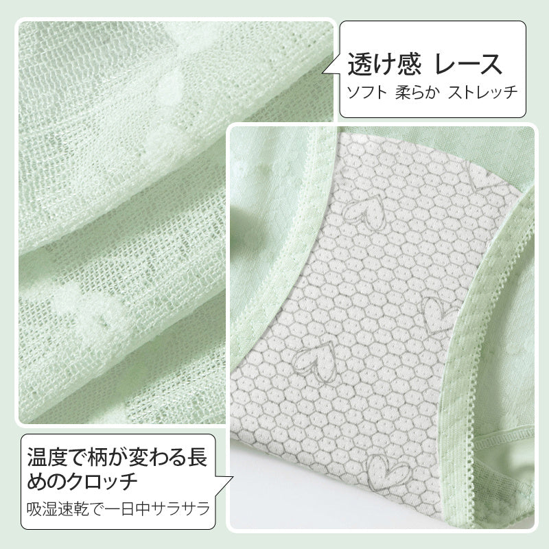 【5件組NT$1,190】VEIMIA 蕾絲內褲 | 加長型抗菌底褲，保護女性私密部位。採用親膚蕾絲材質，不刺癢，外褲不顯痕！